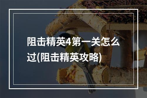 阻击精英4第一关怎么过(阻击精英攻略)