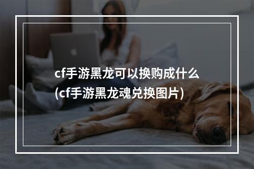 cf手游黑龙可以换购成什么(cf手游黑龙魂兑换图片)