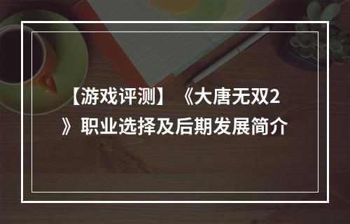 【游戏评测】《大唐无双2》职业选择及后期发展简介