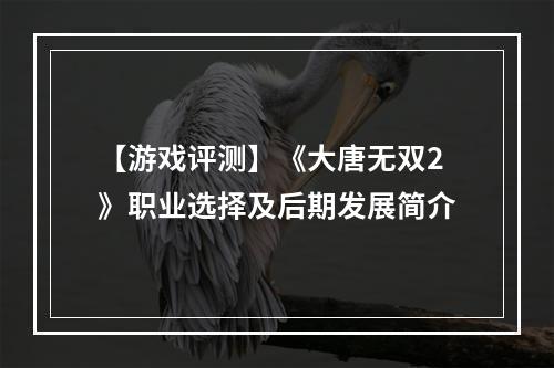 【游戏评测】《大唐无双2》职业选择及后期发展简介