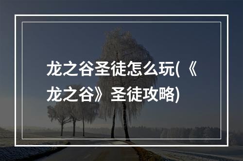 龙之谷圣徒怎么玩(《龙之谷》圣徒攻略)