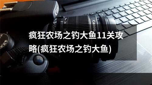 疯狂农场之钓大鱼11关攻略(疯狂农场之钓大鱼)