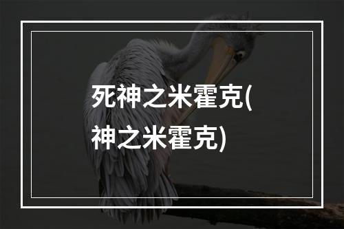 死神之米霍克(神之米霍克)