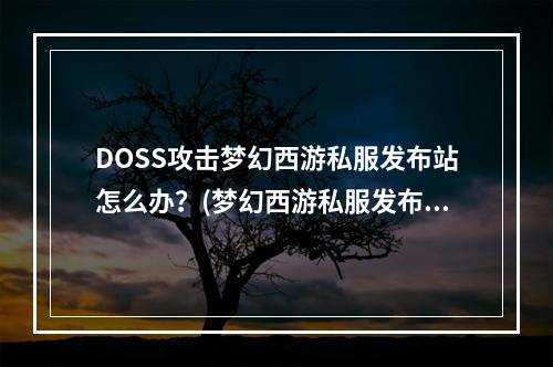 DOSS攻击梦幻西游私服发布站怎么办？(梦幻西游私服发布网)