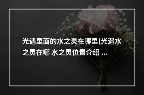 光遇里面的水之灵在哪里(光遇水之灵在哪 水之灵位置介绍 光遇 )