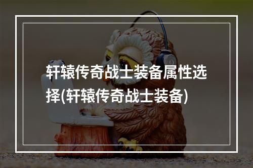 轩辕传奇战士装备属性选择(轩辕传奇战士装备)