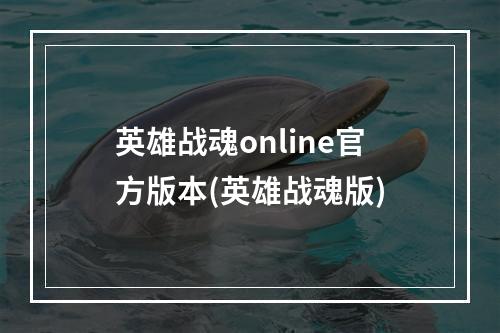 英雄战魂online官方版本(英雄战魂版)