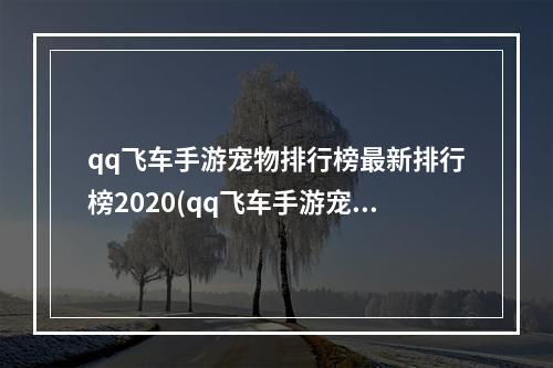 qq飞车手游宠物排行榜最新排行榜2020(qq飞车手游宠物排行榜一览 2022哪个宠物最好 )