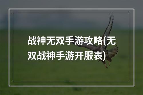 战神无双手游攻略(无双战神手游开服表)