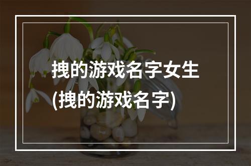 拽的游戏名字女生(拽的游戏名字)