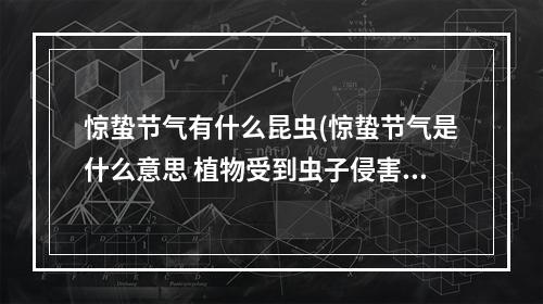 惊蛰节气有什么昆虫(惊蛰节气是什么意思 植物受到虫子侵害蚂蚁新村)