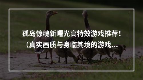 孤岛惊魂新曙光高特效游戏推荐！（真实画质与身临其境的游戏感受）