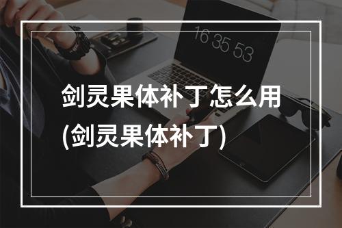 剑灵果体补丁怎么用(剑灵果体补丁)