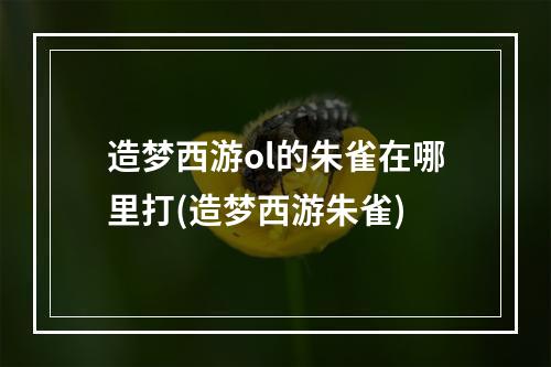 造梦西游ol的朱雀在哪里打(造梦西游朱雀)