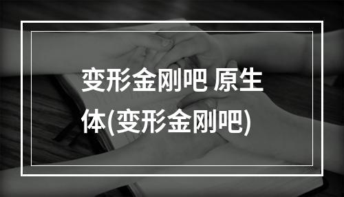 变形金刚吧 原生体(变形金刚吧)