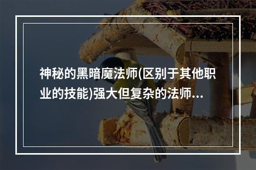 神秘的黑暗魔法师(区别于其他职业的技能)强大但复杂的法师之道