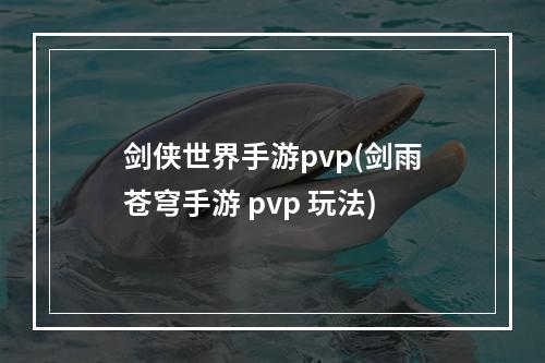 剑侠世界手游pvp(剑雨苍穹手游 pvp 玩法)