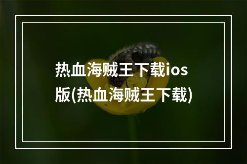 热血海贼王下载ios版(热血海贼王下载)