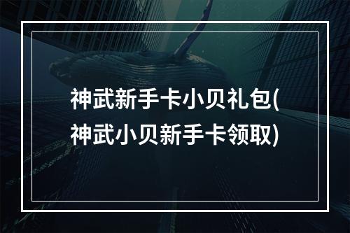 神武新手卡小贝礼包(神武小贝新手卡领取)