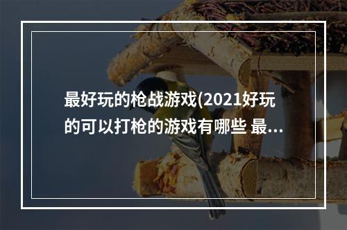 最好玩的枪战游戏(2021好玩的可以打枪的游戏有哪些 最新打枪的游戏合集)