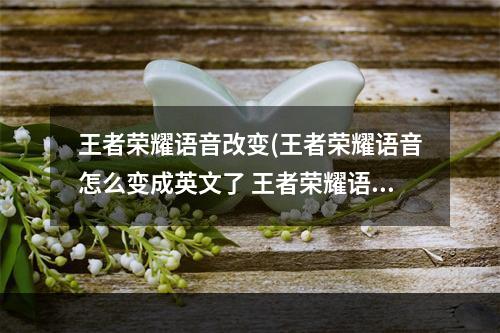 王者荣耀语音改变(王者荣耀语音怎么变成英文了 王者荣耀语音异常解决)