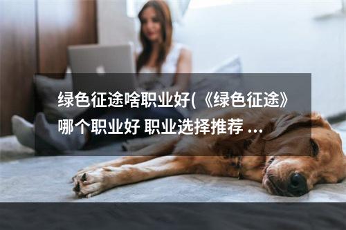 绿色征途啥职业好(《绿色征途》哪个职业好 职业选择推荐  )