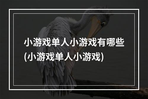 小游戏单人小游戏有哪些(小游戏单人小游戏)