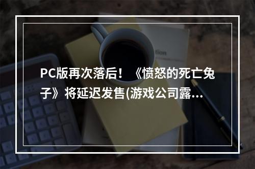 PC版再次落后！《愤怒的死亡兔子》将延迟发售(游戏公司露出马脚)