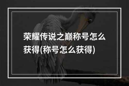 荣耀传说之巅称号怎么获得(称号怎么获得)