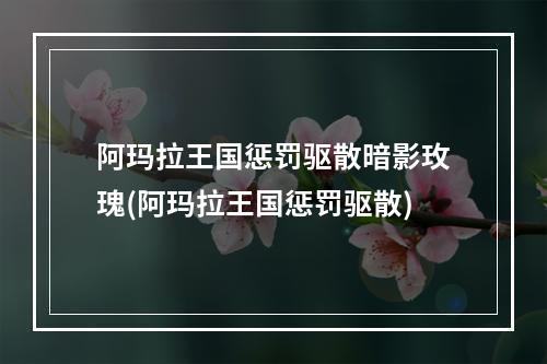 阿玛拉王国惩罚驱散暗影玫瑰(阿玛拉王国惩罚驱散)