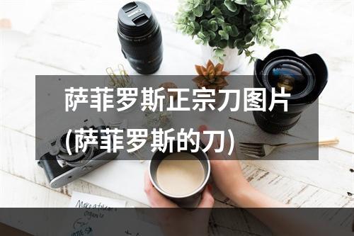 萨菲罗斯正宗刀图片(萨菲罗斯的刀)