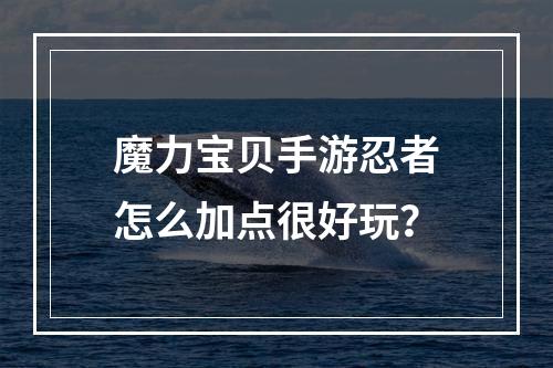 魔力宝贝手游忍者怎么加点很好玩？