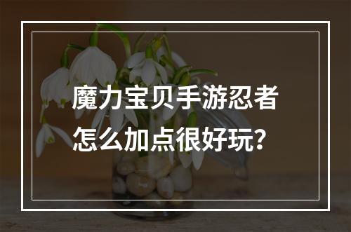 魔力宝贝手游忍者怎么加点很好玩？