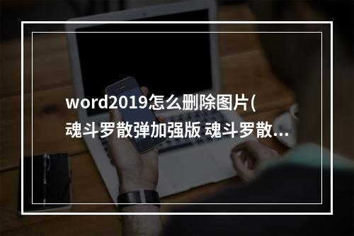 word2019怎么删除图片(魂斗罗散弹加强版 魂斗罗散弹加强版攻略)