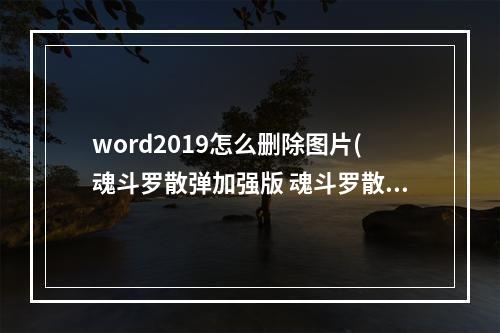 word2019怎么删除图片(魂斗罗散弹加强版 魂斗罗散弹加强版攻略)