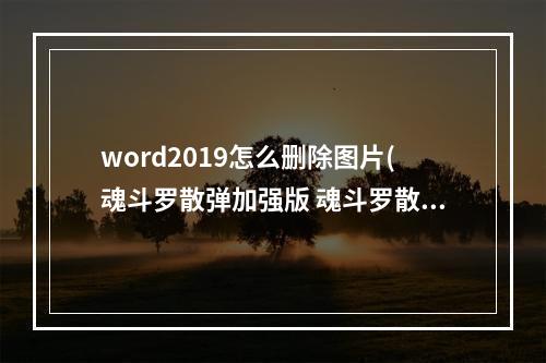 word2019怎么删除图片(魂斗罗散弹加强版 魂斗罗散弹加强版攻略)