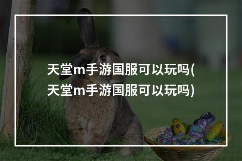 天堂m手游国服可以玩吗(天堂m手游国服可以玩吗)