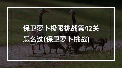 保卫萝卜极限挑战第42关怎么过(保卫萝卜挑战)