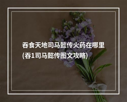 吞食天地司马懿传火药在哪里(吞1司马懿传图文攻略)