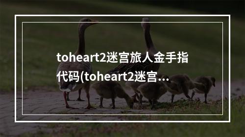 toheart2迷宫旅人金手指代码(toheart2迷宫旅人攻略)