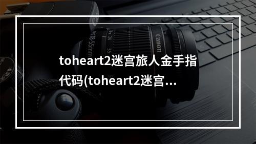 toheart2迷宫旅人金手指代码(toheart2迷宫旅人攻略)