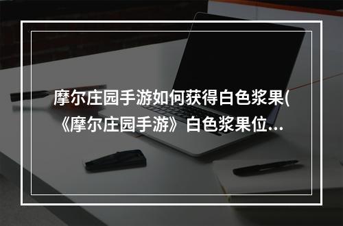 摩尔庄园手游如何获得白色浆果(《摩尔庄园手游》白色浆果位置一览 白色浆果在哪获取)