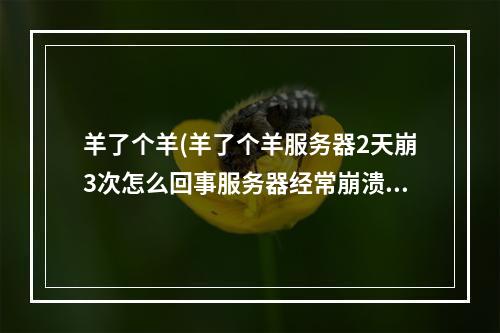 羊了个羊(羊了个羊服务器2天崩3次怎么回事服务器经常崩溃原因)