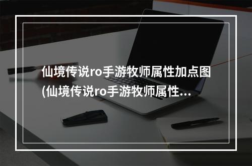 仙境传说ro手游牧师属性加点图(仙境传说ro手游牧师属性加点)