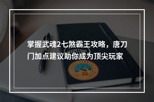 掌握武魂2七煞霸王攻略，唐刀门加点建议助你成为顶尖玩家