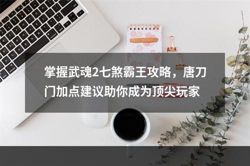 掌握武魂2七煞霸王攻略，唐刀门加点建议助你成为顶尖玩家