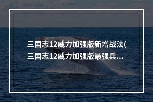 三国志12威力加强版新增战法(三国志12威力加强版最强兵种之实验篇)