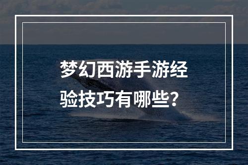 梦幻西游手游经验技巧有哪些？