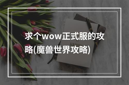 求个wow正式服的攻略(魔兽世界攻略)