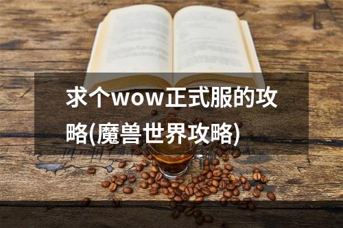 求个wow正式服的攻略(魔兽世界攻略)